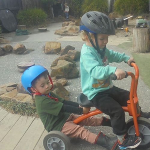 curious-cubs-early-learning-daycare-in-hamilton-cbd-waikato-10