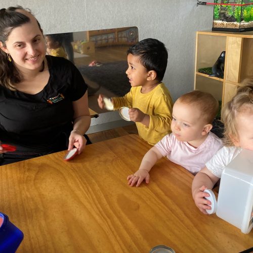 curious-cubs-early-learning-daycare-in-hamilton-cbd-waikato-13