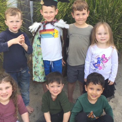 curious-cubs-early-learning-daycare-in-hamilton-cbd-waikato-15