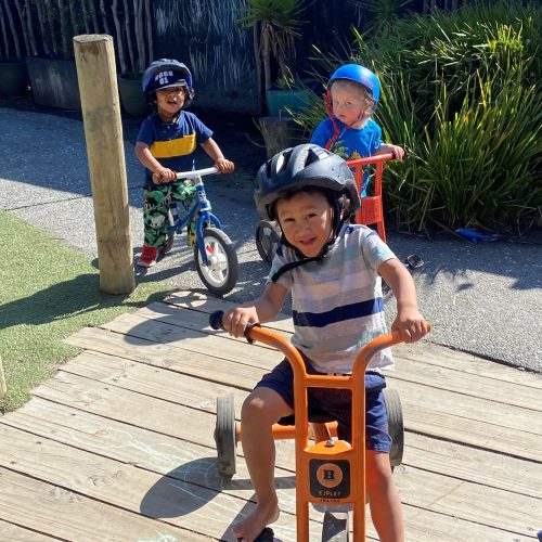 curious-cubs-early-learning-daycare-in-hamilton-cbd-waikato-4